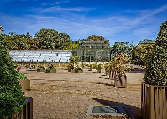 101 - Confortable Avec Kitchenette 5